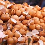 Cáscaras de huevos