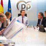 El líder del PP, Alberto Núñez Feijóo preside el comité de dirección del partido, hoy, en Génova. 