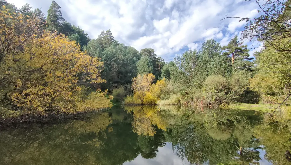 El Pinar de los Belgas de Rascafría, en el Parque Nacional Sierra de Guadarrama