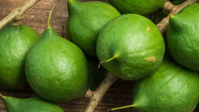 El poderoso aceite antiedad que estimula la regeneración celular