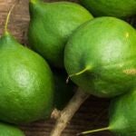 El poderoso aceite antiedad que estimula la regeneración celular