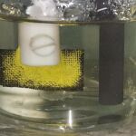 En amarillo el uranio capturado en agua de mar con el nuevo método.