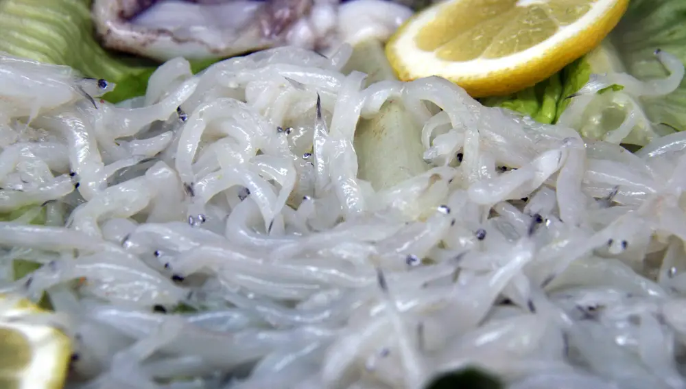 Angulas crudas