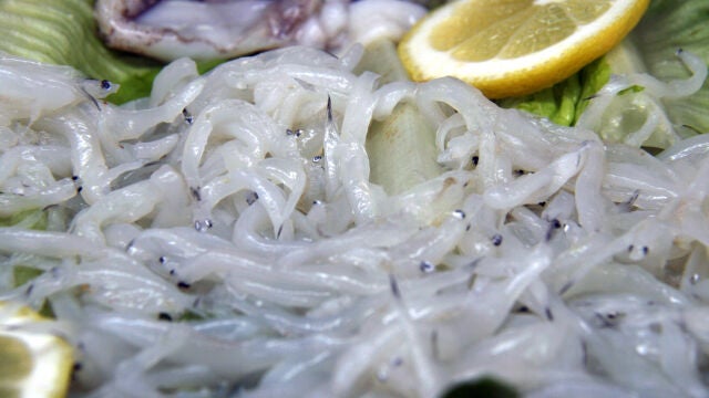 Angulas crudas