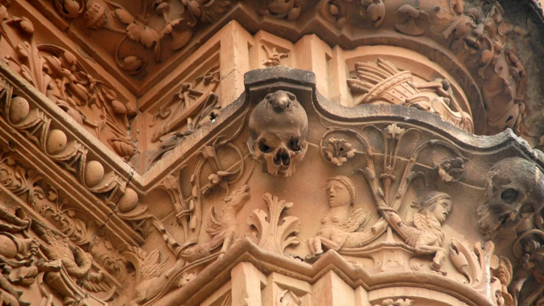 Rana sobre una calavera en la fachada de la Universidad de Salamanca