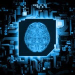 Brain circuit on microchip