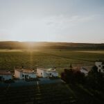 Finca La Emperatriz: donde la uva es la base de todo