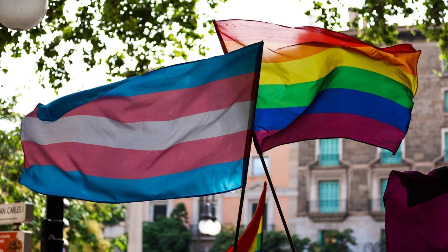 Alrededor de 1.500 personas se manifiestan en Madrid contra reformas de leyes LGTBI al grito de 'Ni un paso atrás'