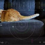 Tabby persiguiendo un puntero láser ha llegado al espacio