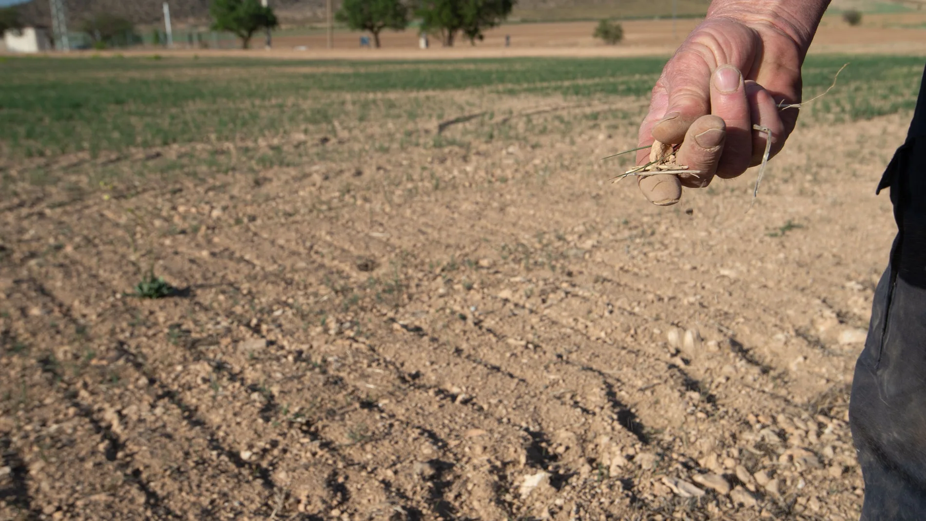 Las indemnizaciones a agricultores han aumentado