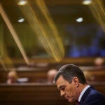 Pedro Sánchez, en un Pleno del Congreso de los Diputados