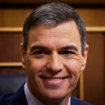 Comparecencia del presidente del Gobierno, Pedro Sánchez en el Pleno del Congreso de los Diputados para hacer 