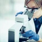 Cádiz.- Investigadores de Cádiz reciben más de 5,4 millones de euros de la Agencia Estatal de Investigación