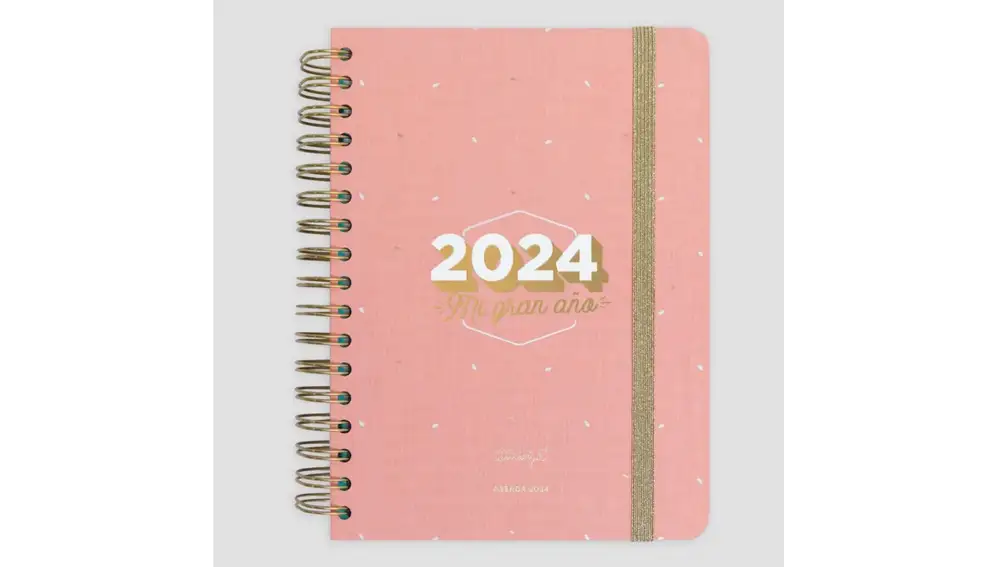Agenda a día vista.
