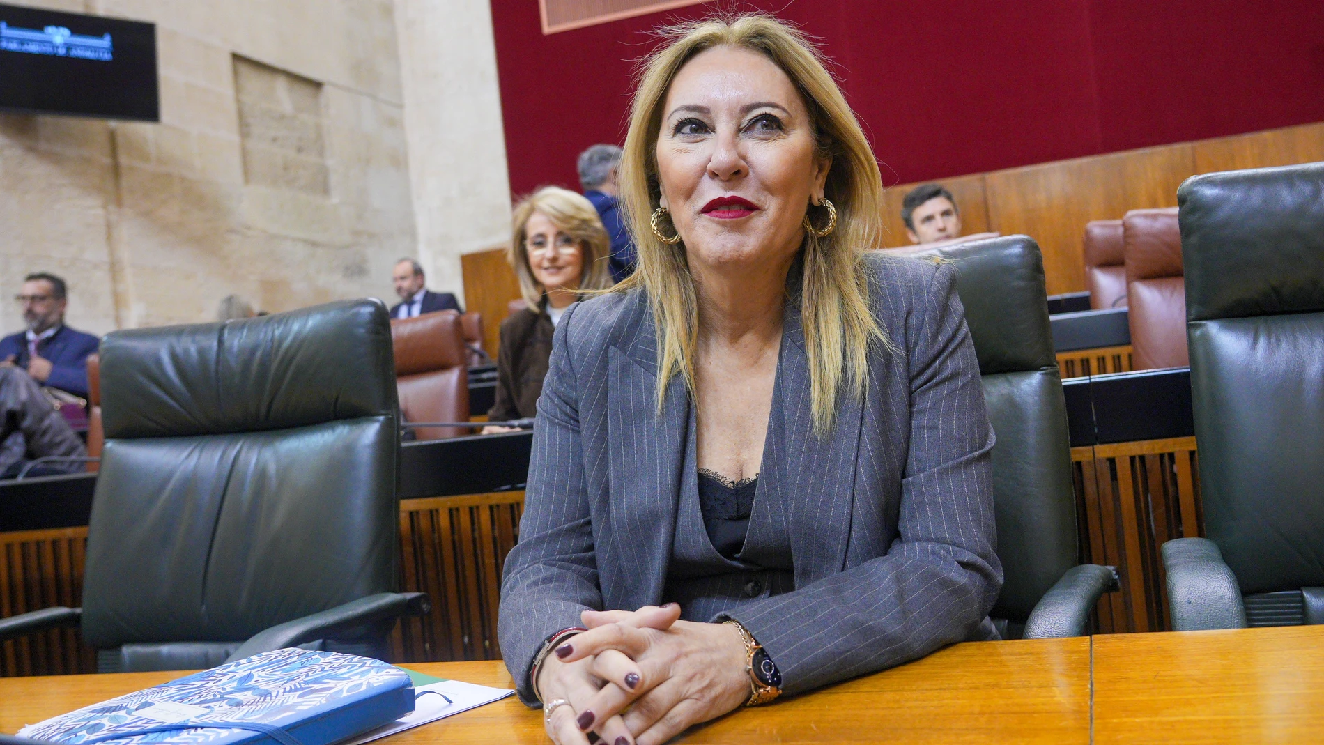 La consejera de Economía, Carolina España