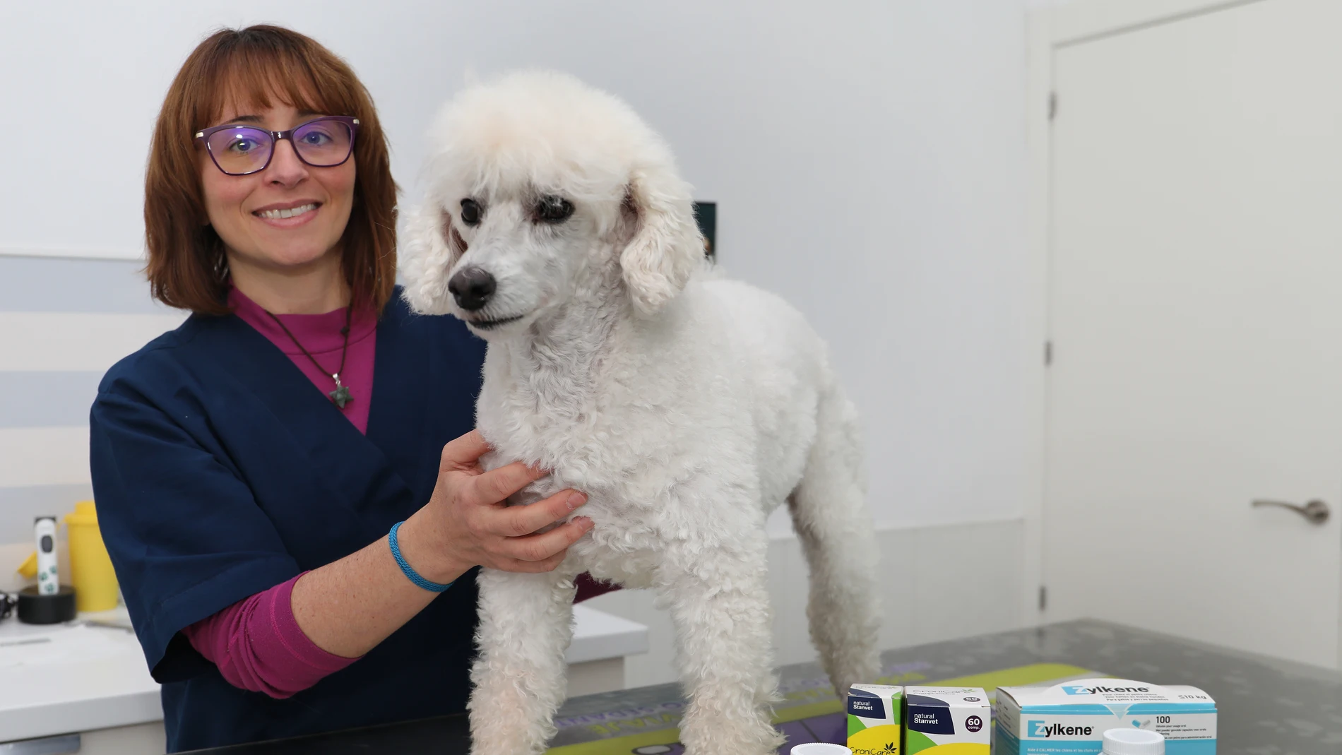 La veterinaria Marian Belloso en su clínica junto a un paciente y diversos suplementos alimenticios que evitan el estrés animal