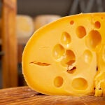 Queso Jalsberg