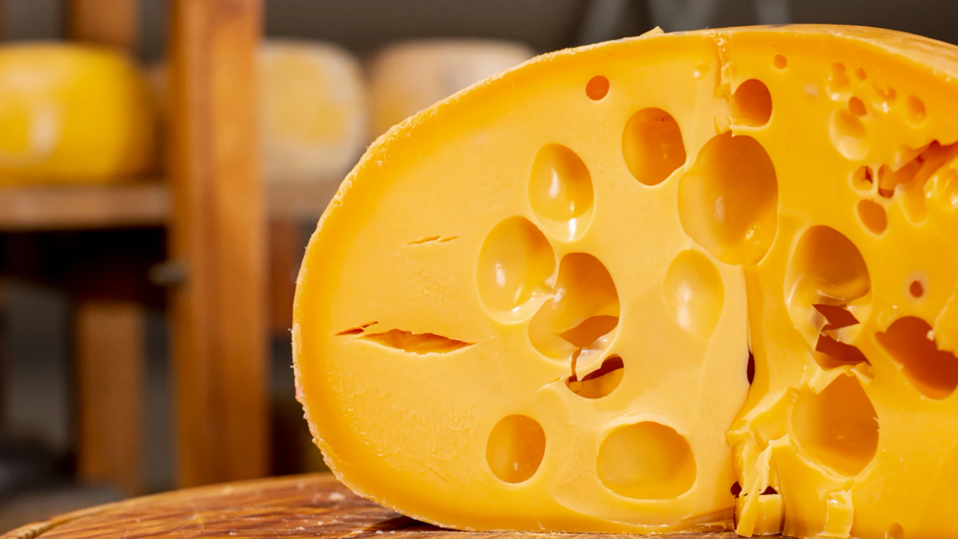 queso jalsberg colesterol huesos