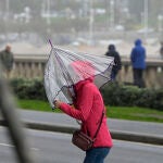 Viento, nieve, lluvias activan mañana los avisos en Castilla-La Mancha