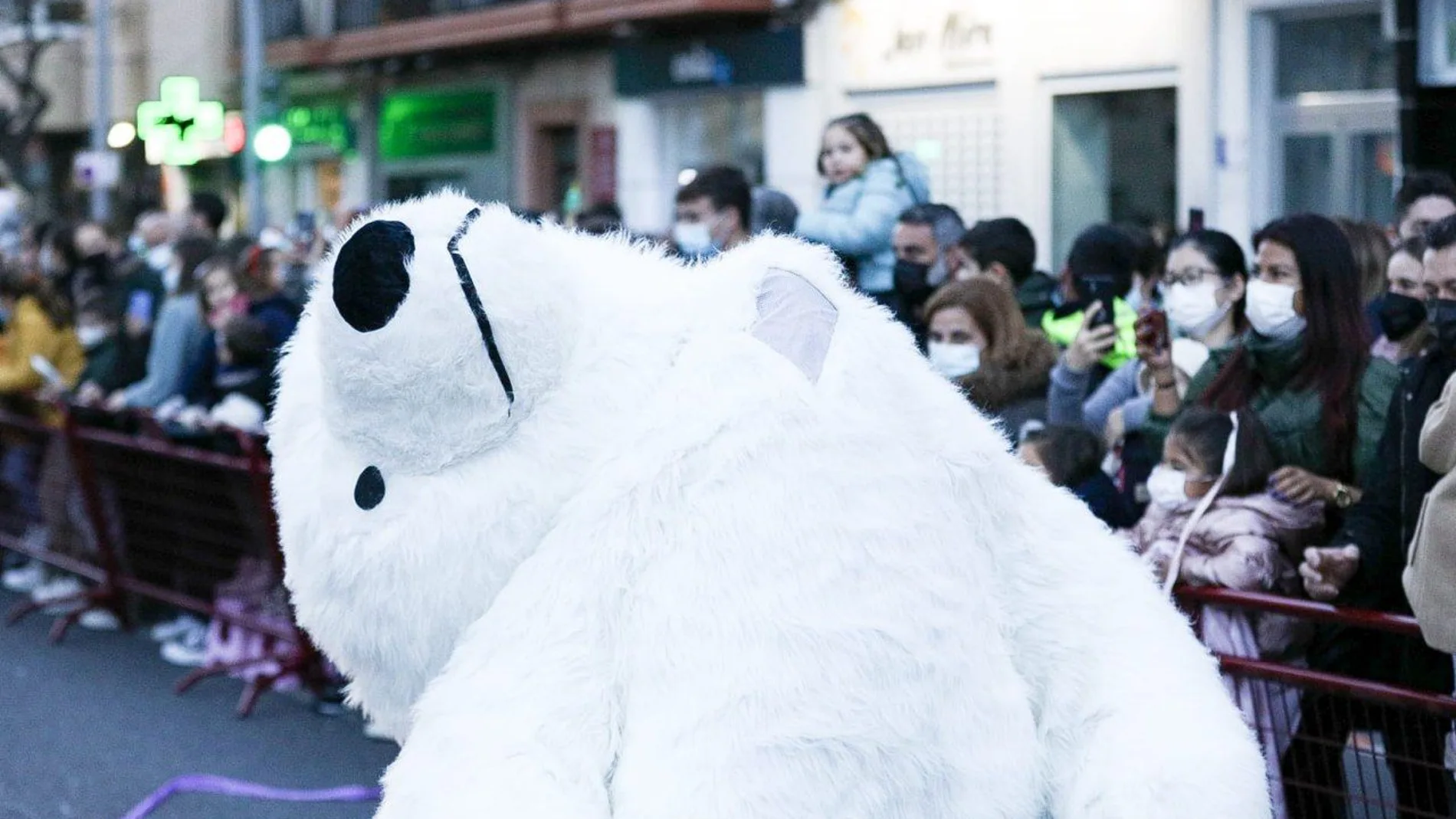 El oso "cambembo" de la cabalgata de Cádiz