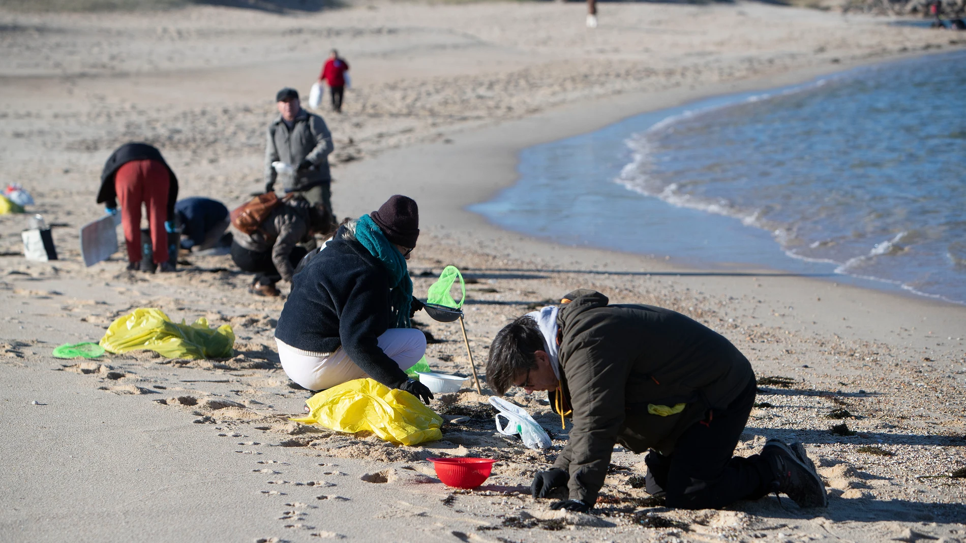 O GROVE (PONTEVEDRA), 07/01/2024.- Voluntarios recogen microeplásticos o pellets, que han aparecido en toda la costa atlántica de Galicia, este domingo en la Playa de A Lanzada en O Grove. EFE/Salvador Sas