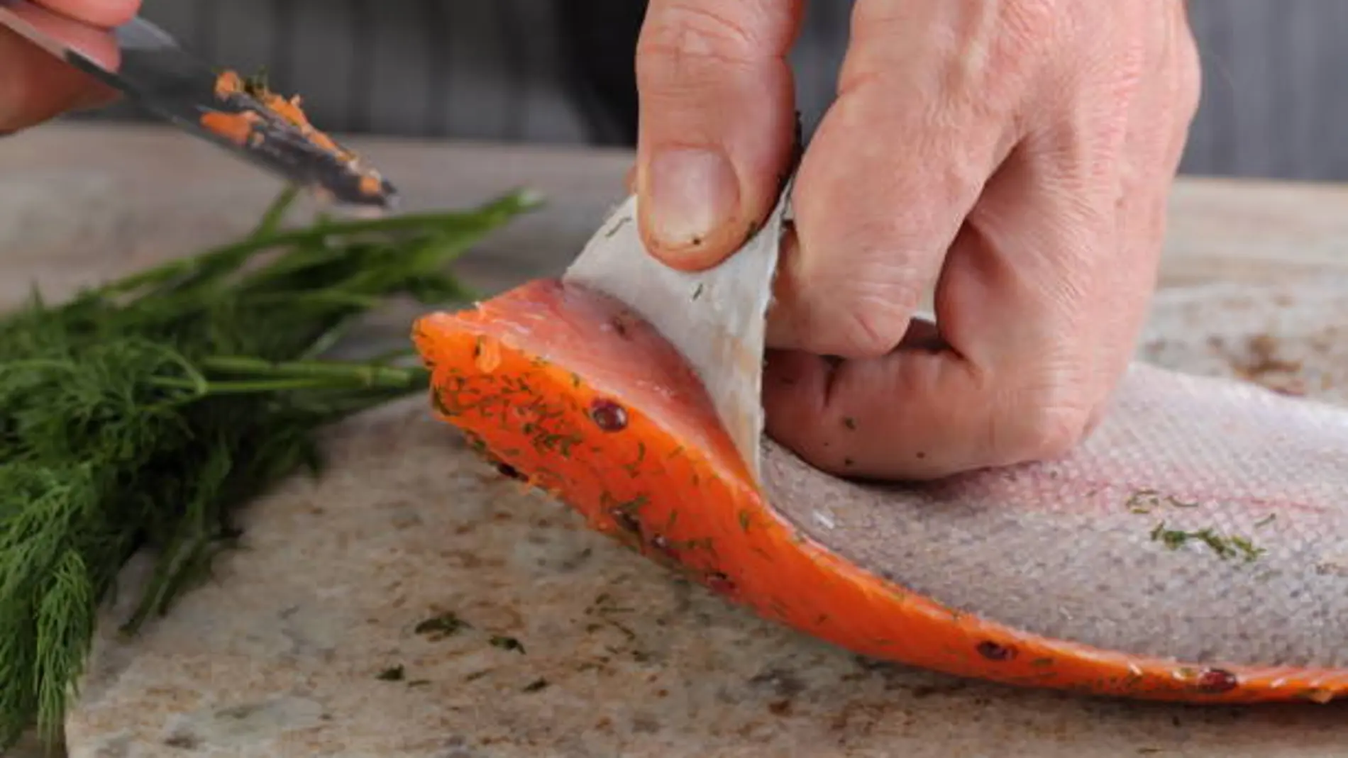 Un trozo de salmón