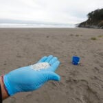 El conselleiro do Mar reconoce que la Xunta supo de los pellets el 13 de diciembre, pero sin conocer "de dónde vienen"
