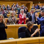El pleno de los decretos en el Senado