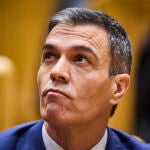El presidente del Gobierno, Pedro Sánchez
