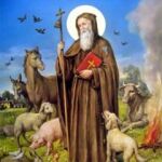 San Antonio Abab -San Antón-