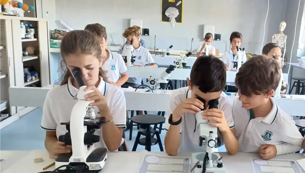 Nuestras principales innovaciones se centran en la metodología y forma de estructurar el aprendizaje