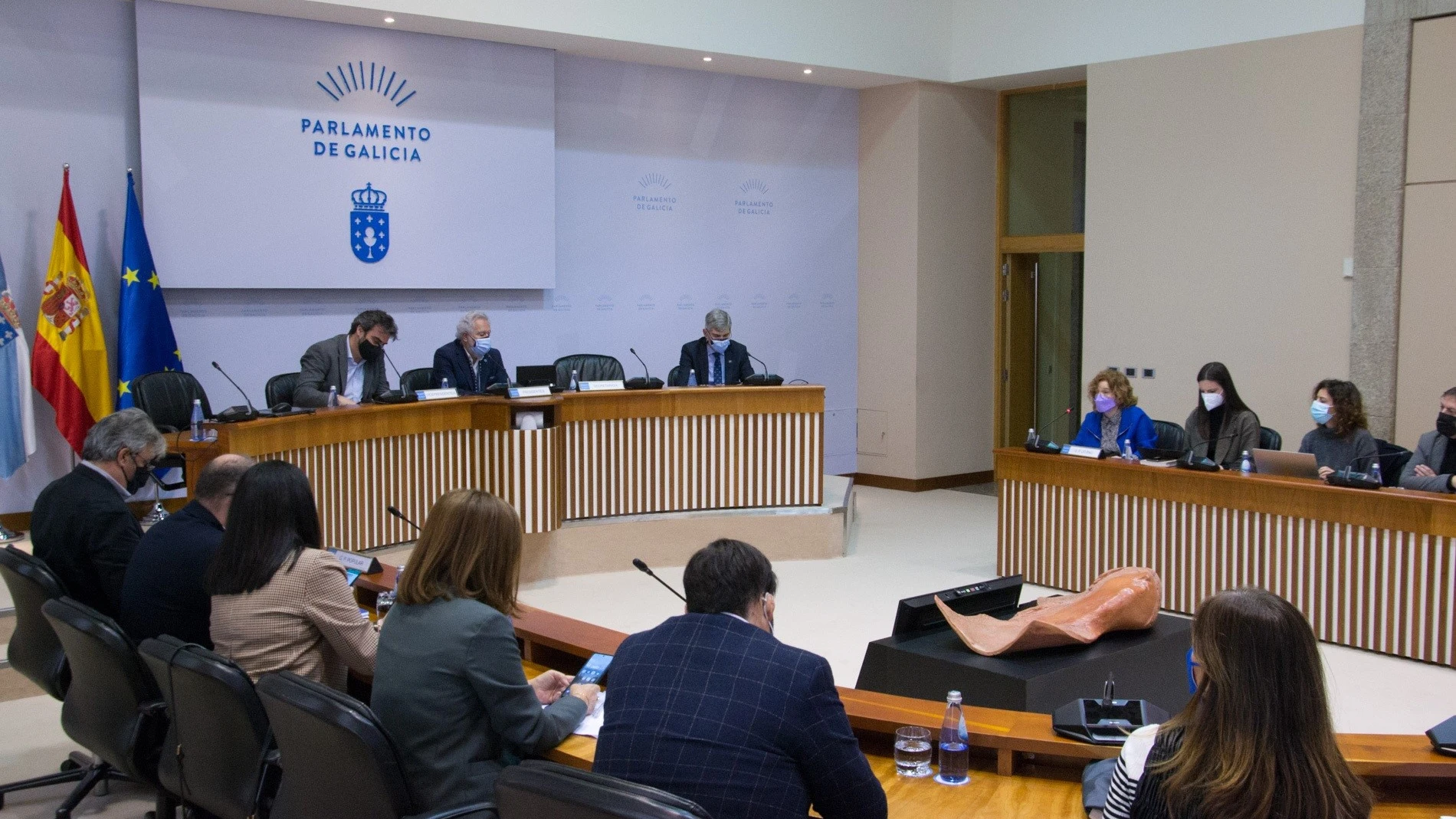 Diputación Permanente del Parlamento gallego se reúne de urgencia hoy para que la Xunta comparezca por los pélets