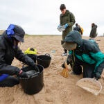 Continúa la limpieza de granza (pellets) enl os arenales de Galicia