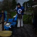 Una voluntaria de la organización Noia Limpa participa en la recogida de pellets en la playa Bos, a 13 de enero de 2024, en Noia, A Coruña.
