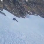 El cuerpo del fallecido, sobre la nieve