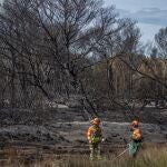 Alcaldesa de Valencia dice que todo apunta a que el incendio en El Saler fue intencionado: "Tenemos un pirómano suelto"