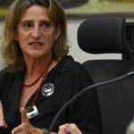 La vicepresidenta Teresa Ribera entra en la Ejecutiva Federal del PSOE