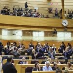 Personas aplauden desde la tribuna de invitados en el pleno del Congreso que debate la toma en consideración de la iniciativa impulsada por el PP y el PSOE para reformar el artículo 49 de la Constitución y eliminar el término "disminuidos", este martes. Un pleno que se celebra físicamente en la sede del Senado, donde se han trasladado los diputados debido a las obras en el Congreso.