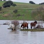 El río Saucelle a su paso por Salamanca
