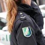El Catálogo de Puestos de Trabajo fija la dotación de la Policía Adscrita en 725 funcionarios y a día de hoy sólo cuenta con 383 efectivos