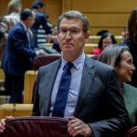 Feijóo dice que Cerdán deja en "ridículo" a Marlaska y otros ministros en sus pactos con Junts: "Es un juego de tahúres"