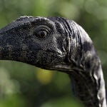 Instinction: descubre el videojuego que pretende resucitar la fiebre por los dinosaurios.