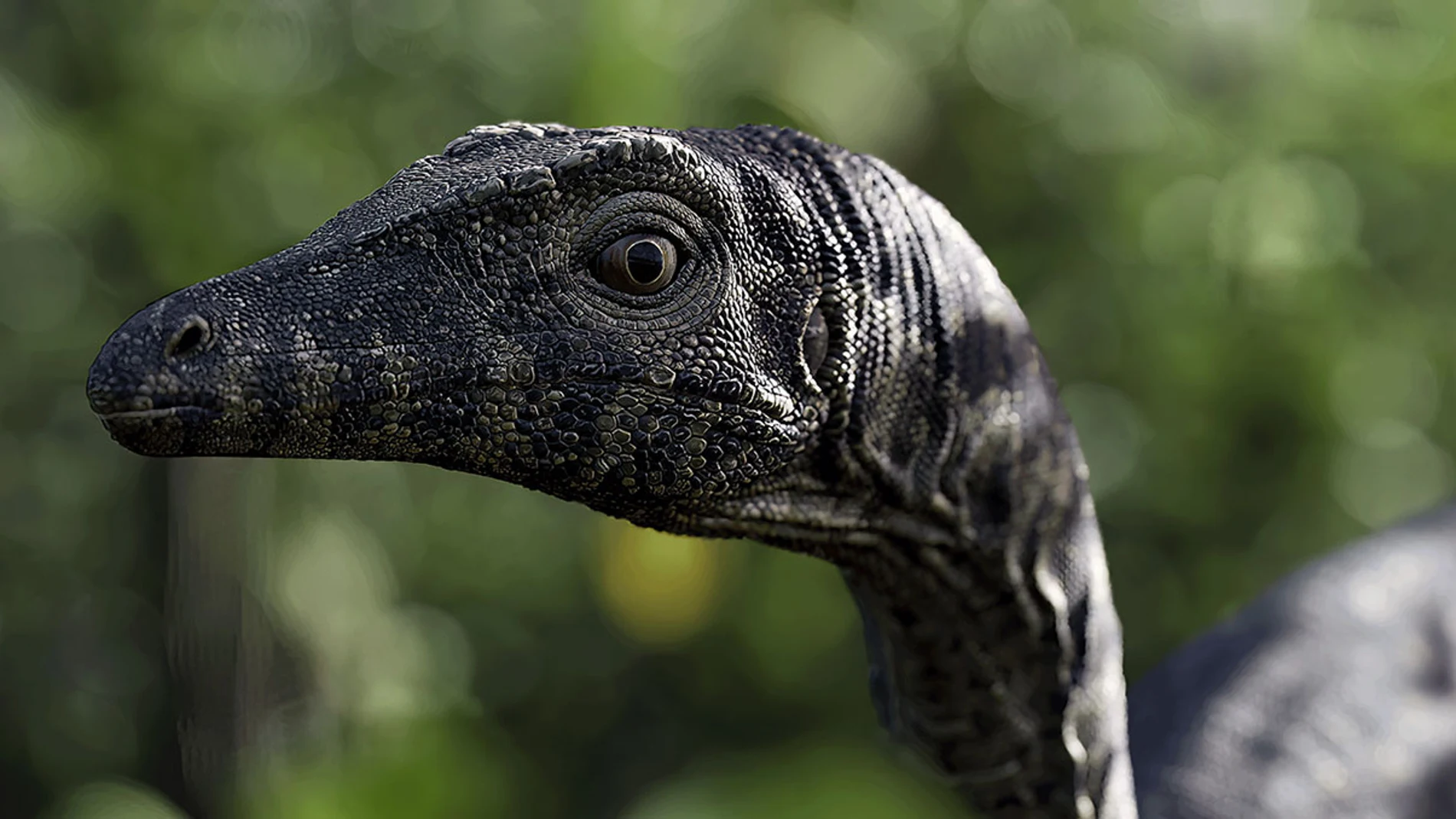 Instinction: descubre el videojuego que pretende resucitar la fiebre por los dinosaurios.
