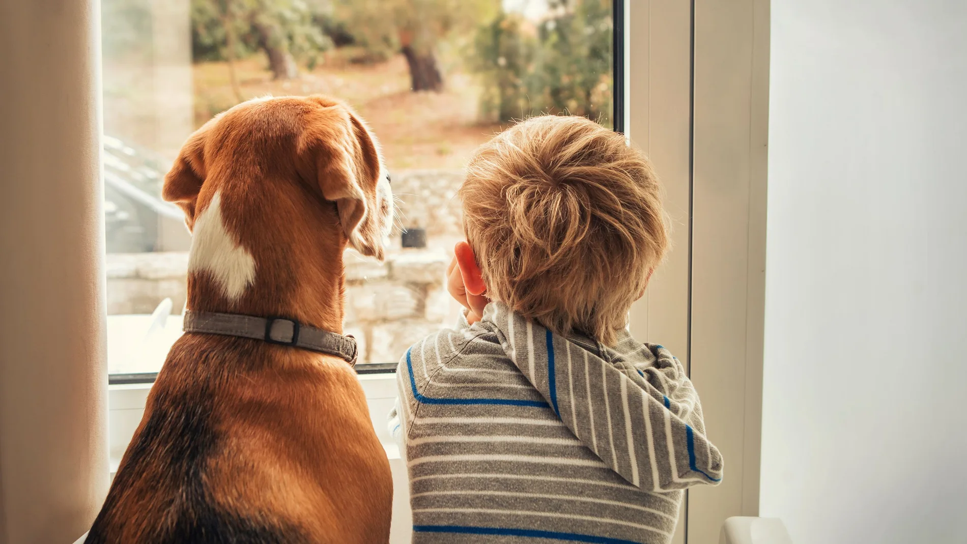 Niño junto a su perro mirando por la ventana