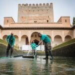 Servicio de limpieza de la Alhambra de Granada 