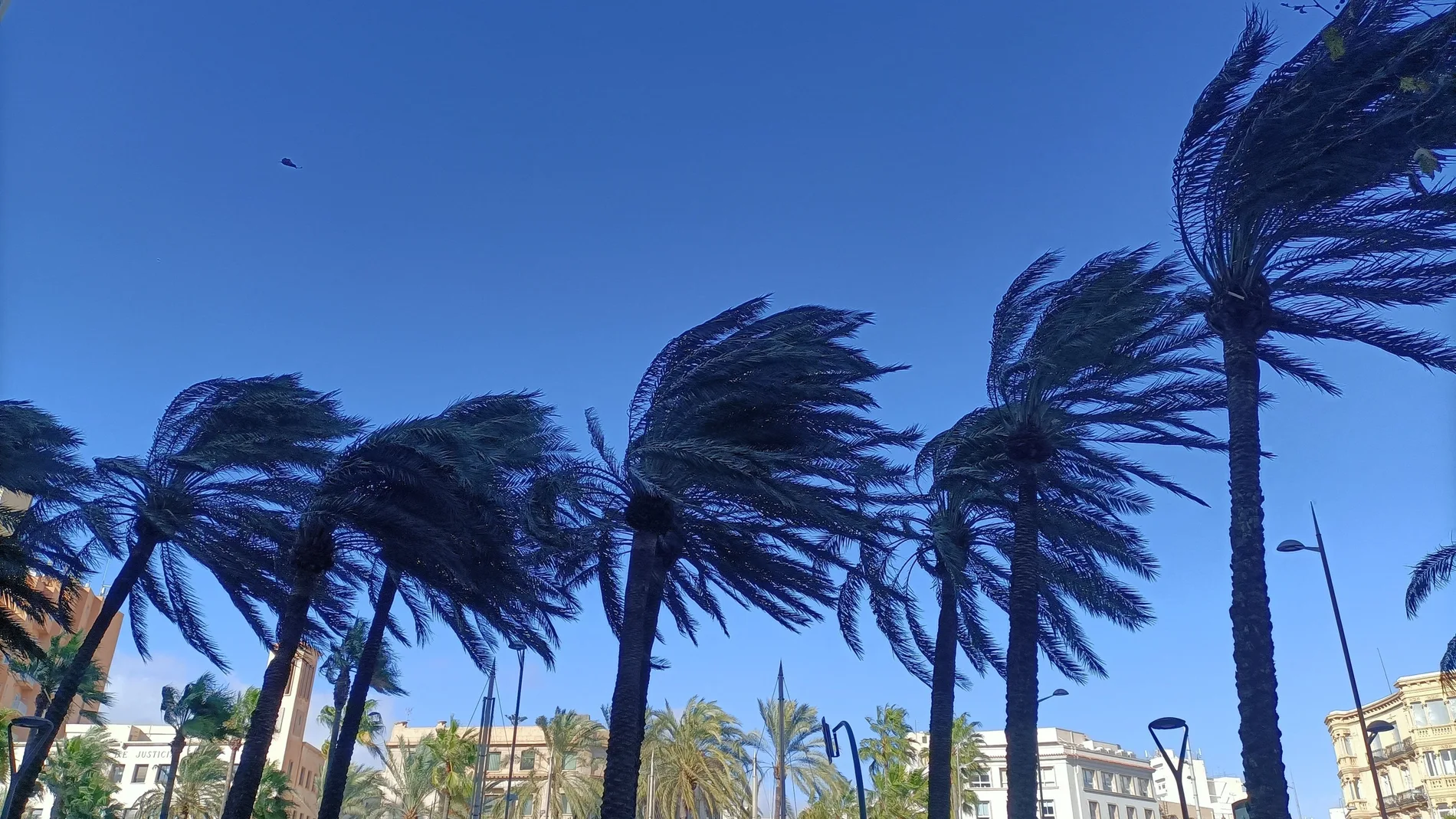 Aviso naranja por viento en Almería
