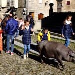 La Alberca acoge la tradicional rifa del Marrano de San Antón y la bendición de animales