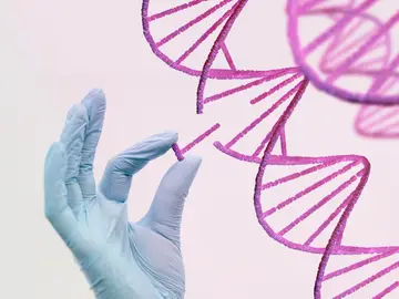 Científicos japoneses dan un paso clave para la reparación de ADN y abren nuevas vías en cáncer ADN cáncer