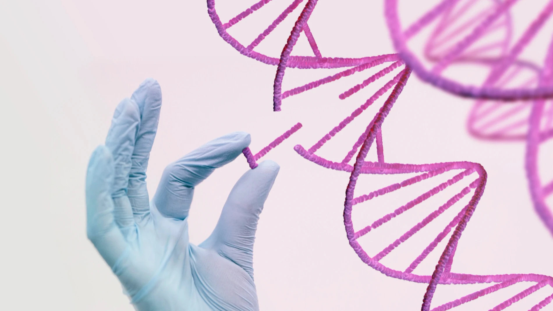 ADN cáncer