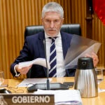 Comparecencia en el Congreso del ministro del Interior, Fernando Grande-Marlaska